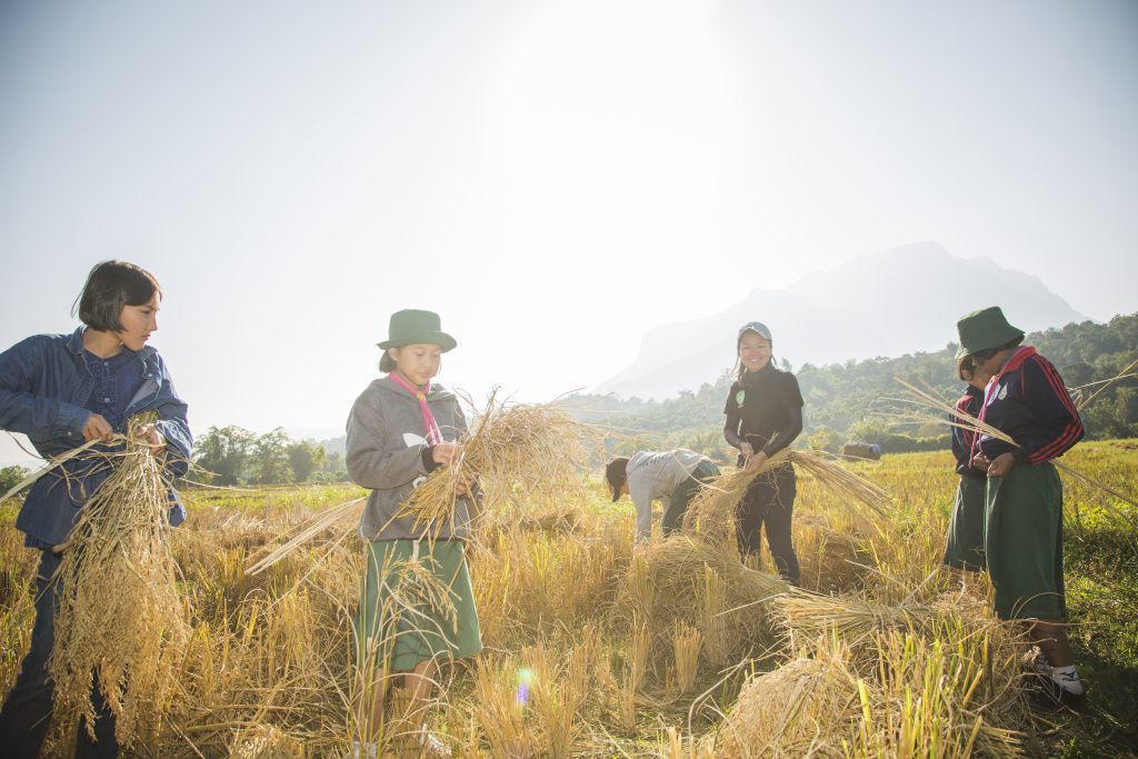 เกษตรกรยุคดิจิทัล…ออนไลน์อินทรีย์จากต้นน้ำถึงปลายน้ำ