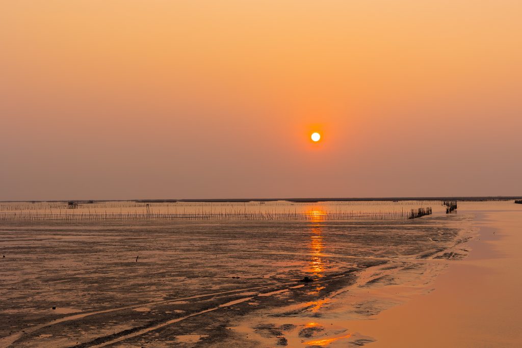 เปิดเคล็ดลับหมูคั่วเค็มสูตรโบราณ ‘ลิตาโฮมเมด’ ของแม่บ้านวัยเก๋ากับเส้นทางปั้นแบรนด์สู่ธุรกิจออนไลน์