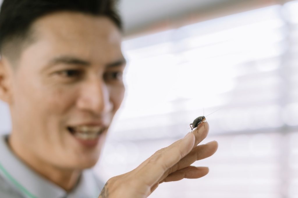 น้ำพริกจิ้งหรีดบ้านฉัน: คำสารภาพจากผู้ก้าวพลาดกับการเริ่มต้นชีวิตใหม่ด้วยน้ำพริกออนไลน์สู่โรงเพาะจิ้งหรีดเตรียมส่งออก